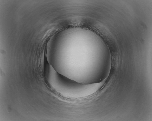 X0000090920035200708061552