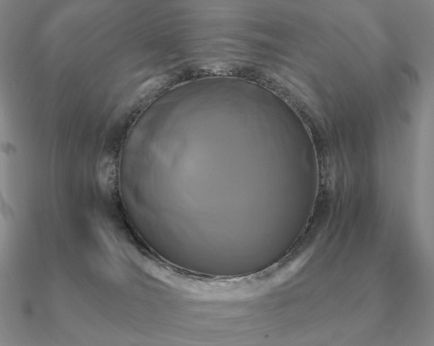 X0000090920036200708061552