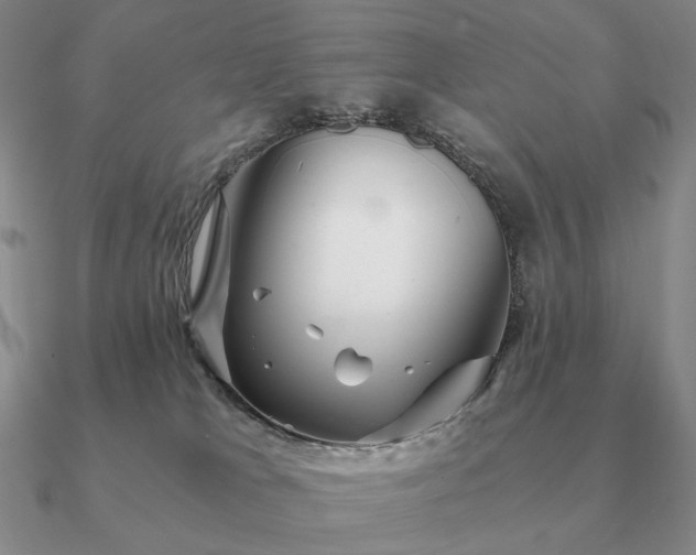 X0000090920037200708061552