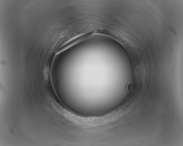 X0000090920038200708061552