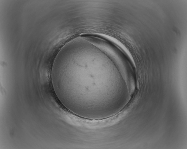 X0000090920039200708061552