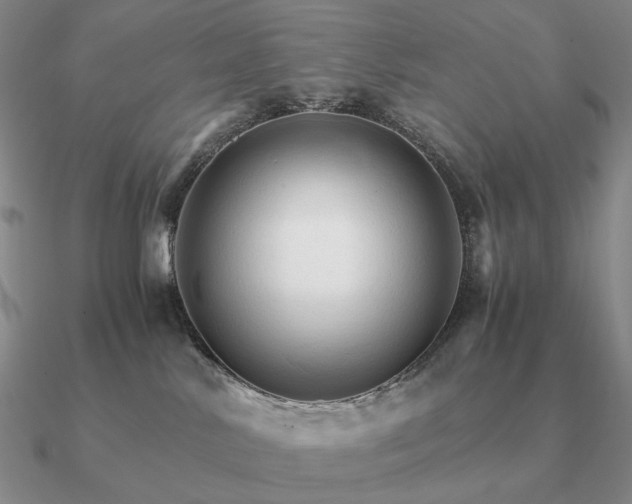 X0000090920042200708061552