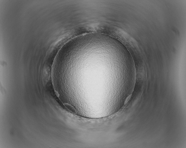 X0000090920043200708061552