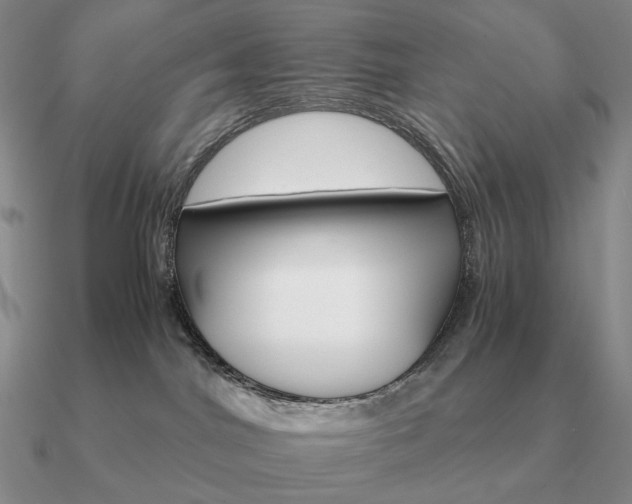 X0000090920044200708061552