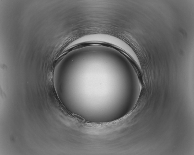 X0000090920045200708061552