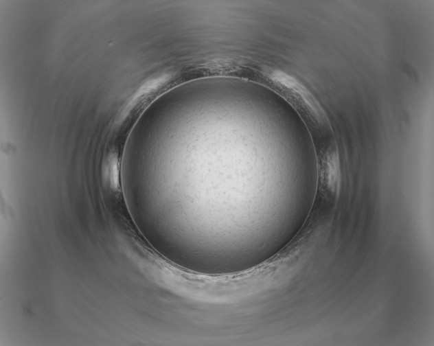 X0000090920046200708061552