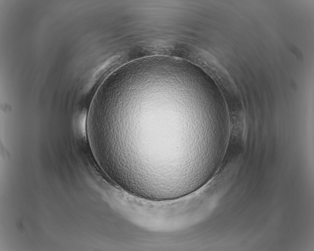 X0000090920047200708061552