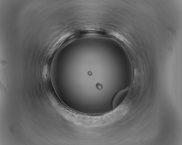 X0000090920048200708061552