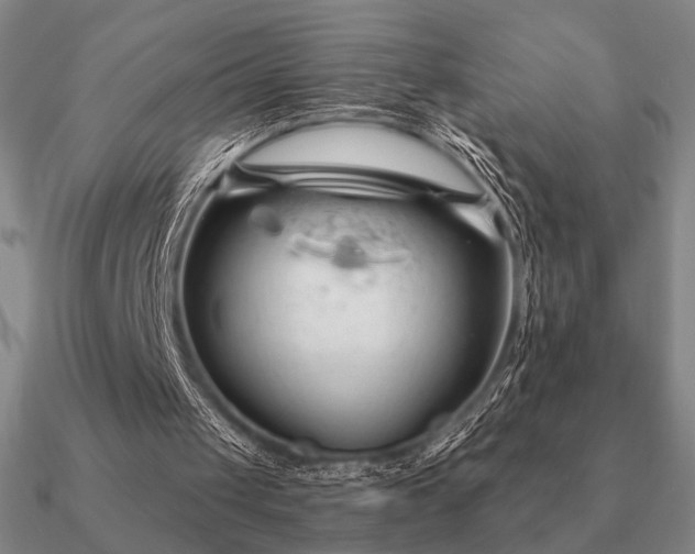 X0000090920049200708061551