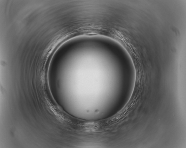 X0000090920050200708061551