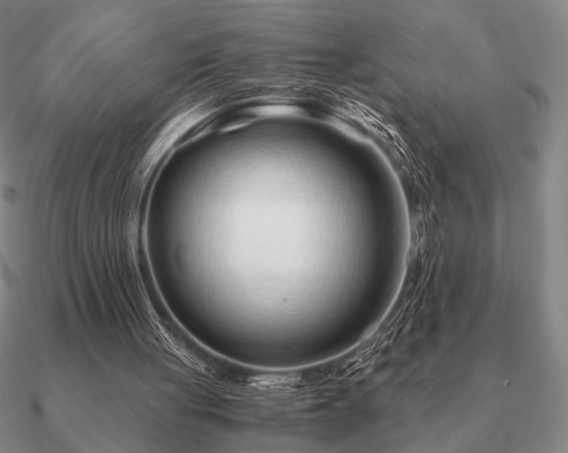 X0000090920051200708061551