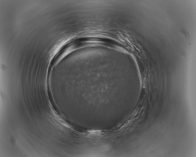 X0000090920052200708061551