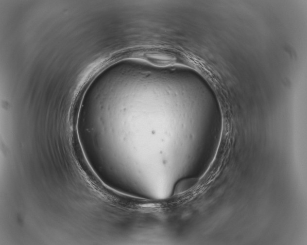 X0000090920053200708061551