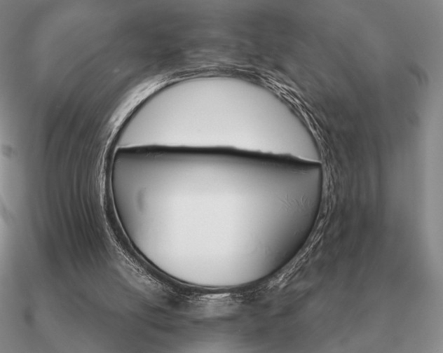 X0000090920054200708061551