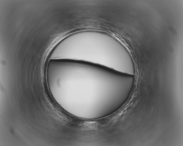 X0000090920055200708061551