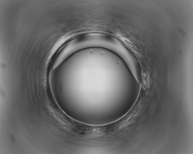 X0000090920056200708061551