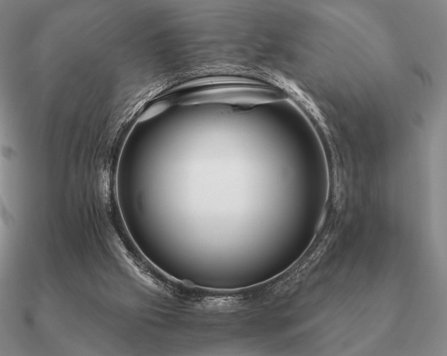 X0000090920057200708061551