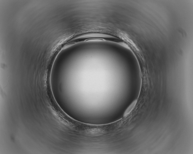 X0000090920058200708061551