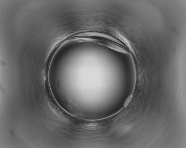 X0000090920059200708061551