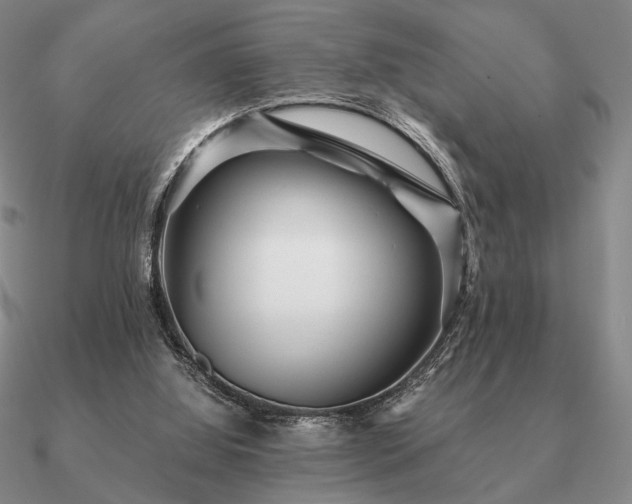 X0000090920060200708061551