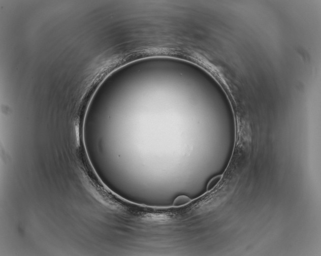 X0000090920061200708061551