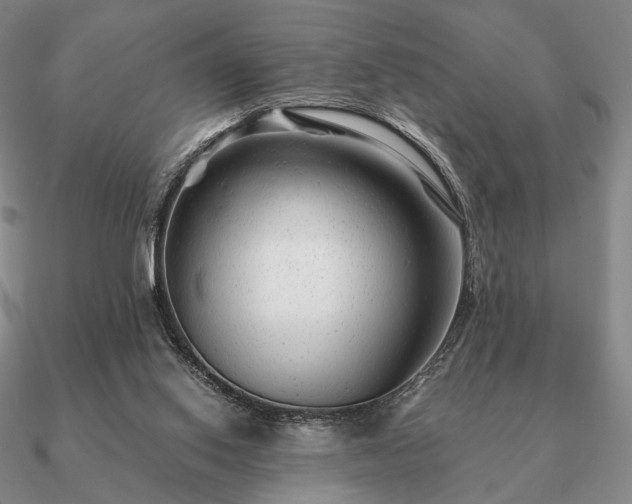 X0000090920062200708061551