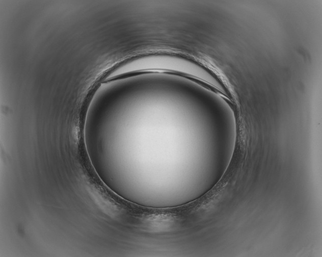 X0000090920063200708061551