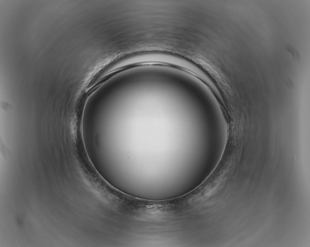 X0000090920064200708061551