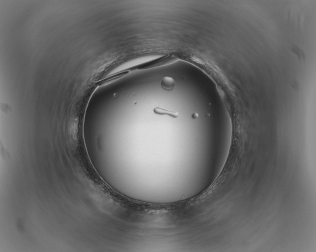 X0000090920066200708061551