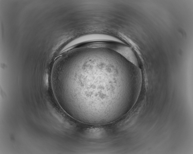 X0000090920067200708061551