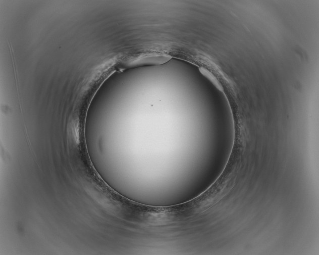 X0000090920068200708061551