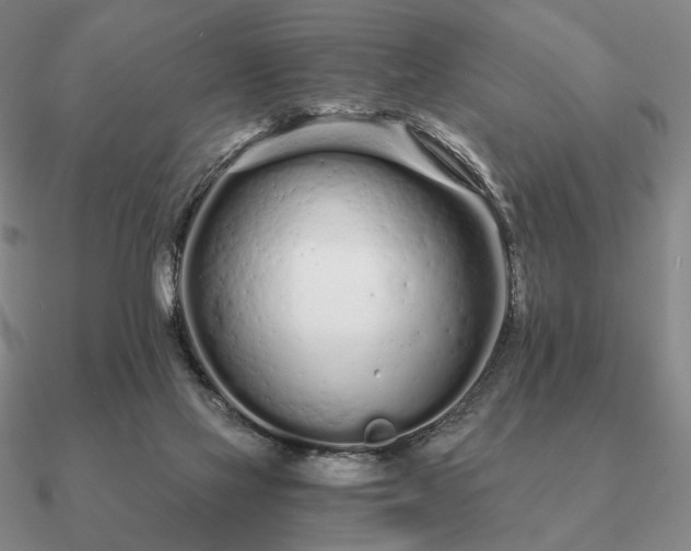 X0000090920069200708061551