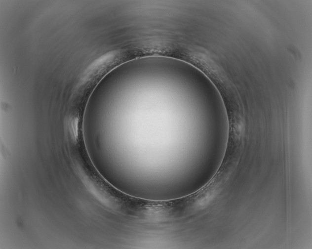 X0000090920070200708061552