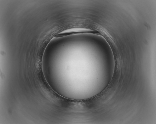 X0000090920073200708061552