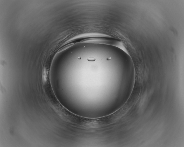 X0000090920075200708061552