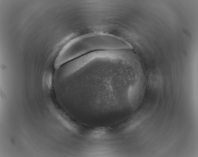 X0000090920076200708061552