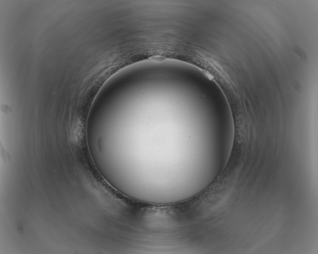 X0000090920077200708061552