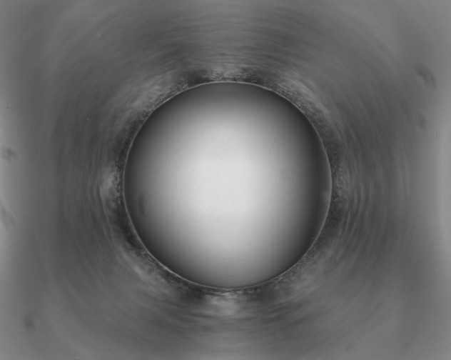 X0000090920079200708061552