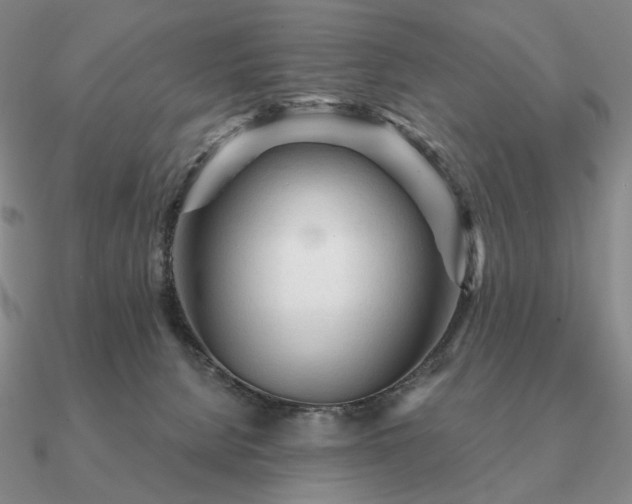 X0000090920080200708061552