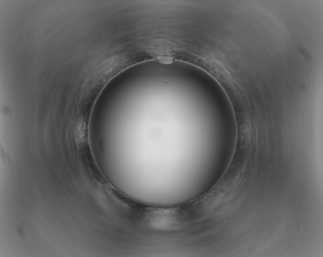 X0000090920081200708061552