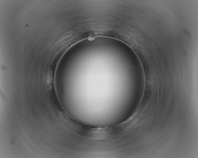 X0000090920082200708061552