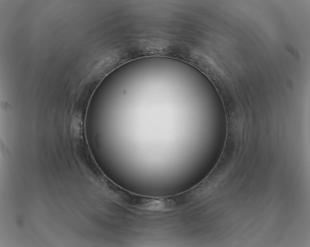 X0000090920083200708061552