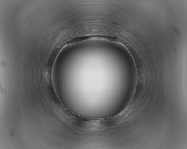 X0000090920086200708061552