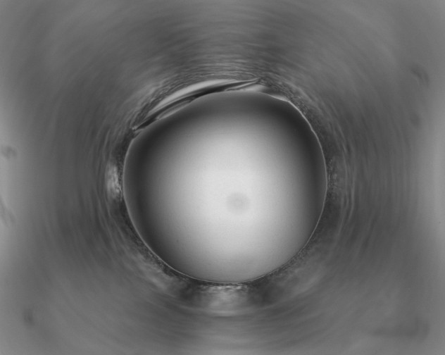 X0000090920089200708061552