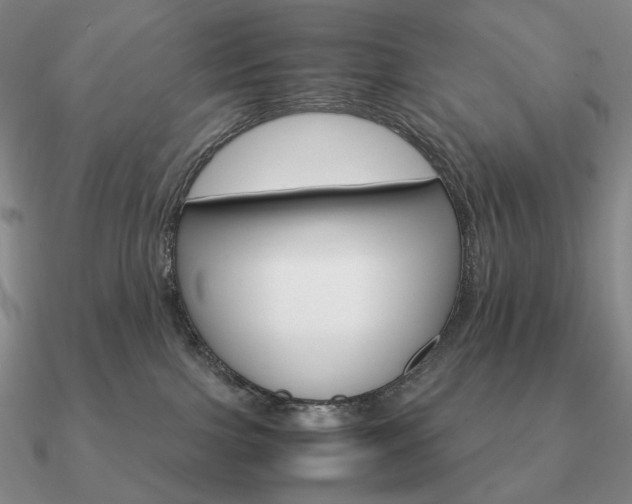 X0000090920091200708061552