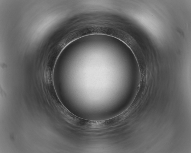 X0000090920093200708061552