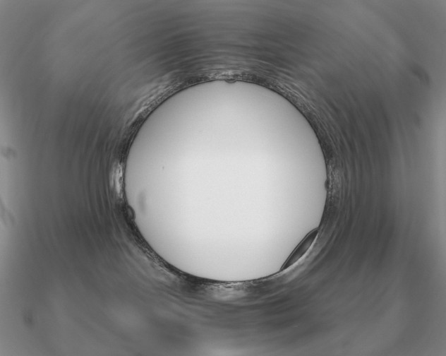 X0000090920094200708061552