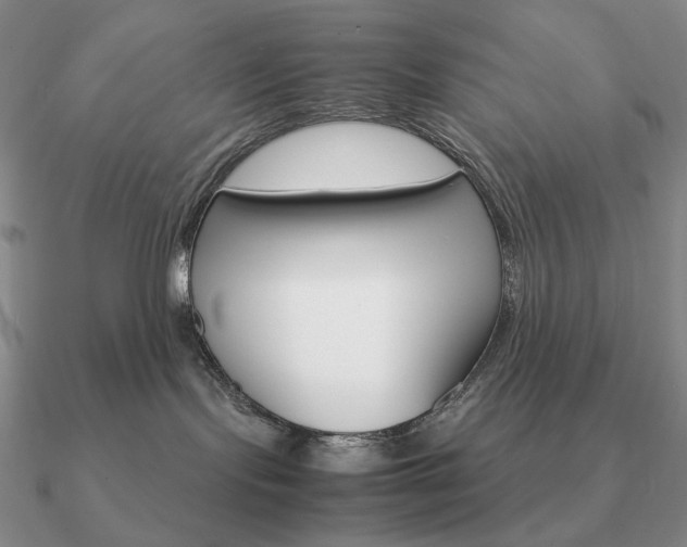 X0000090920095200708061552