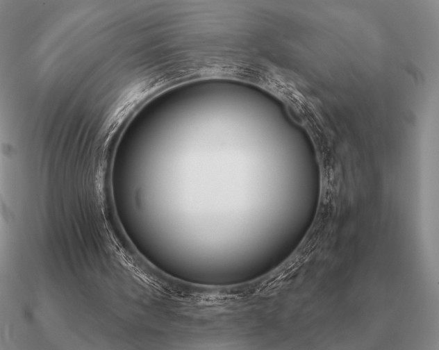 X0000090920098200708061551