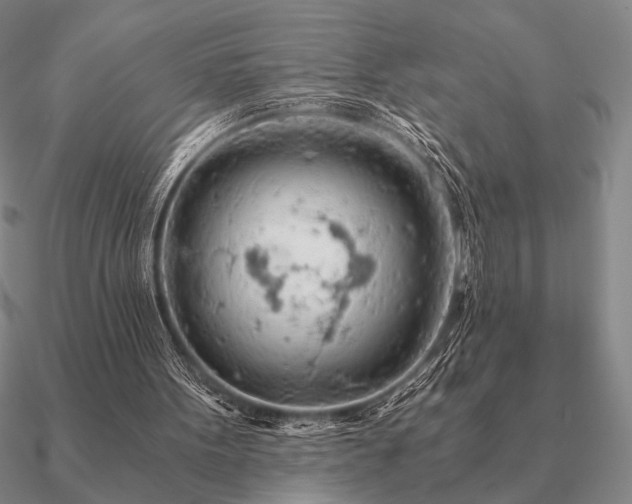 X0000090920099200708061551